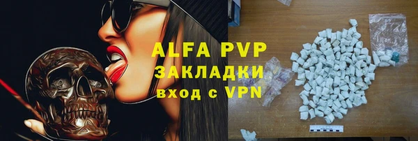 индика Касимов