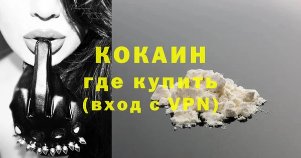 сатива Балахна