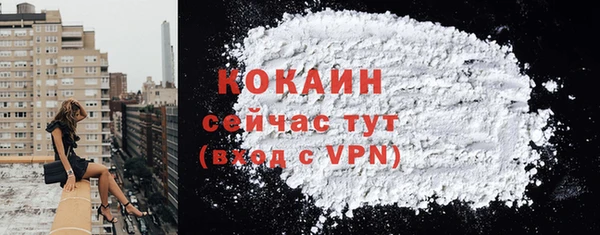 гашик Карпинск