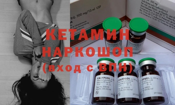 сатива Балахна