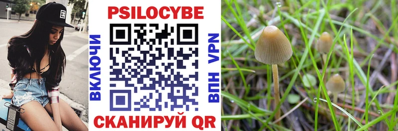 купить закладку  Рудня  Псилоцибиновые грибы мухоморы 